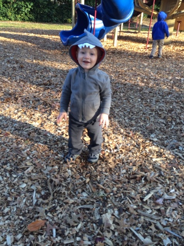 Shark at the park